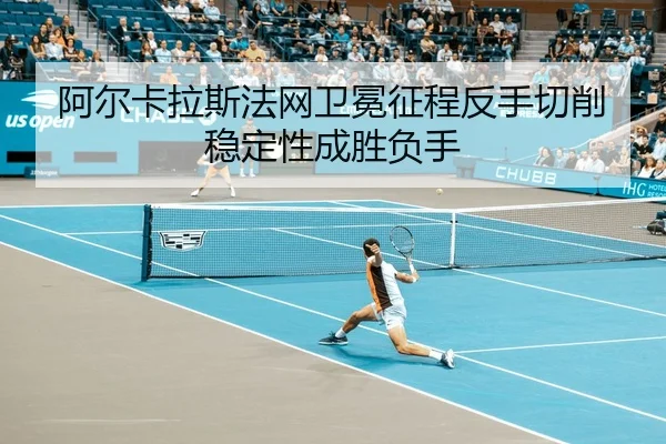 a-er-ka-la-si-fa-wang-wei-mian-zheng-cheng-fan-shou-qie-xiao-wen-ding-xing-cheng-sheng-fu-shou-2-602.jpg
