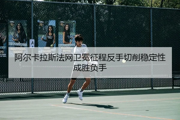 a-er-ka-la-si-fa-wang-wei-mian-zheng-cheng-fan-shou-qie-xiao-wen-ding-xing-cheng-sheng-fu-shou-3-362.jpg