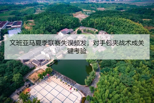 文班亚马夏季联赛失误频发，对手包夹战术成关键考验
