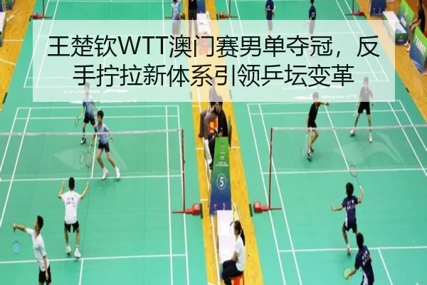 王楚钦WTT澳门赛男单夺冠，反手拧拉新体系引领乒坛变革